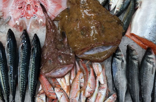 Omis-gastro-ribarnice-brac-Centaurus Omis-gastro-ribarnice-brac-Centaurus