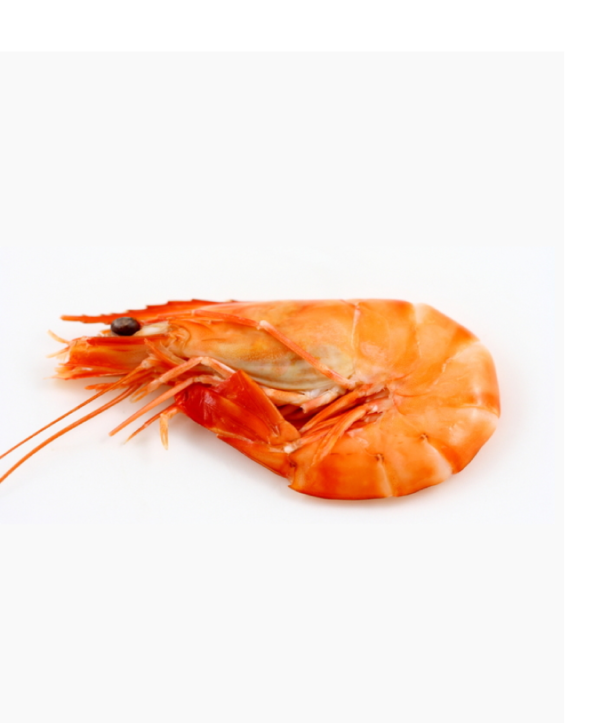 Meso jadranske kozice 250g - Slika 3