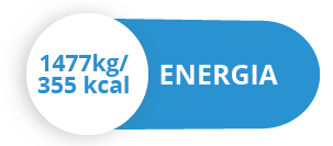 energija_IT